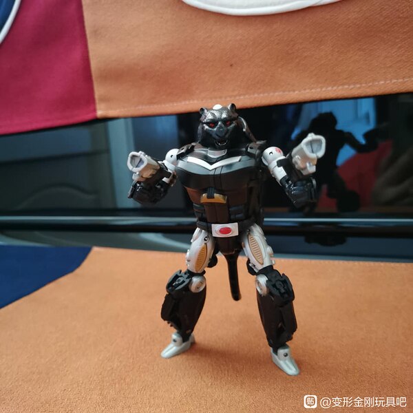 MORE Transformers Agent Ravage Images Cheetor Compared  (33 of 67)